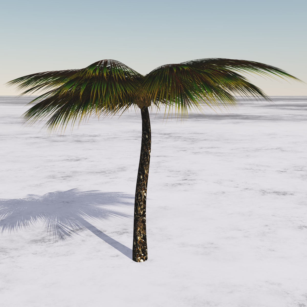 Palm Tree, animated with wind effect