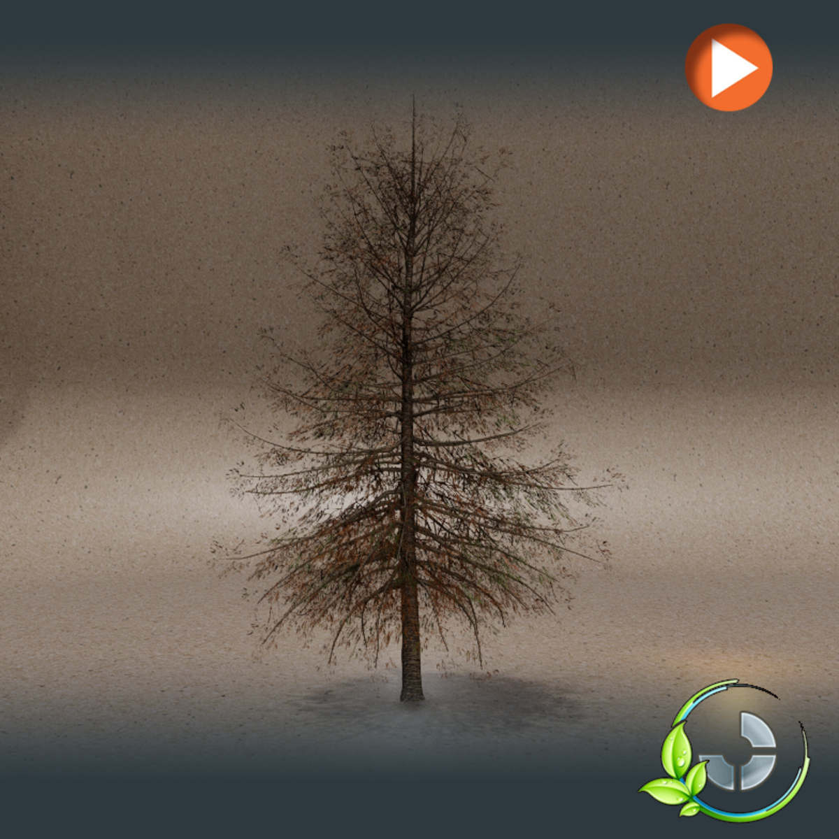 Animated Pine Tree Autumn