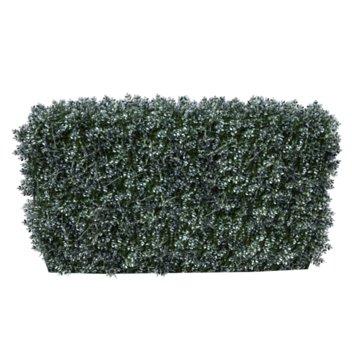 Hedge Straight 4x3 (Winter)