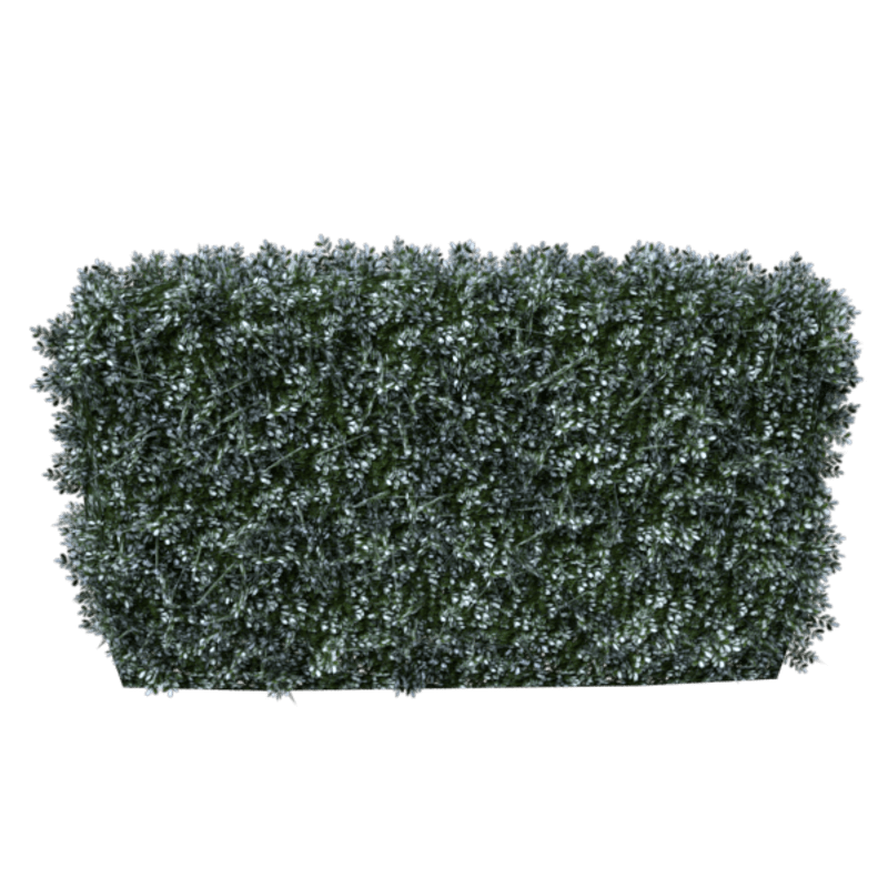 Hedge Straight 4x3 (Winter)