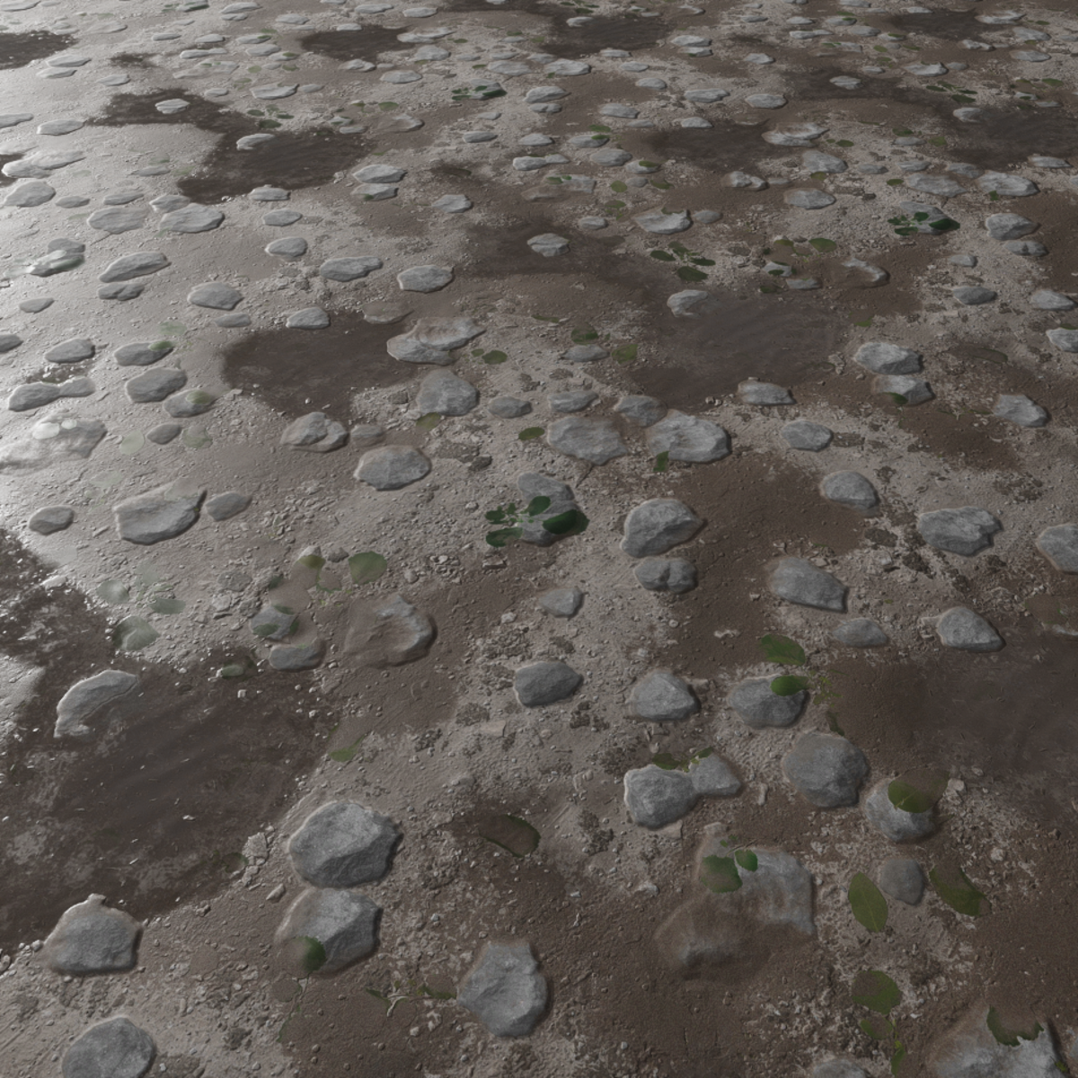 Forest Asphalt Floor with Rocks