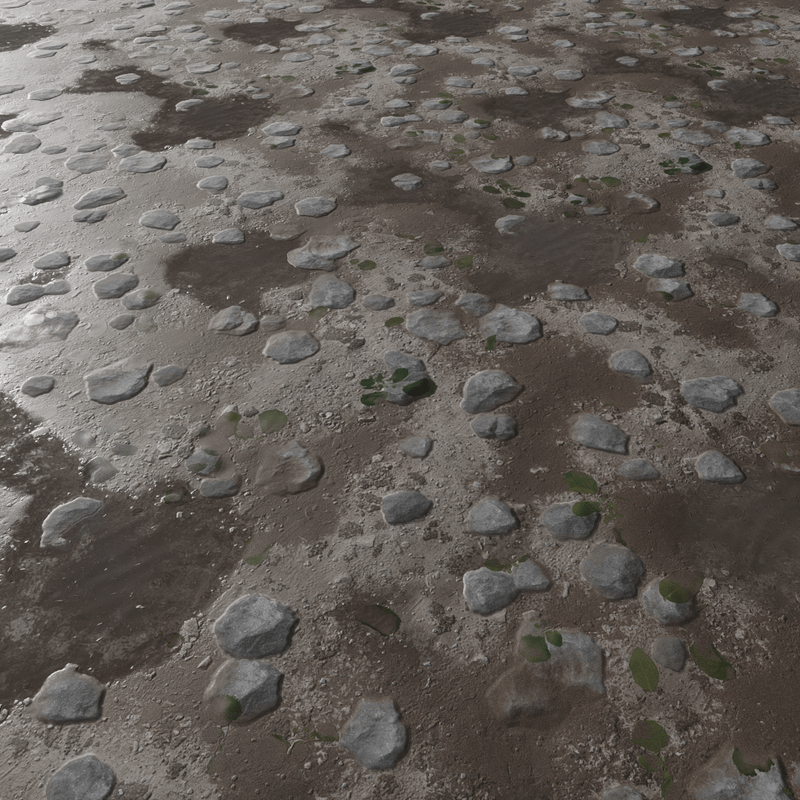 Forest Asphalt Floor with Rocks