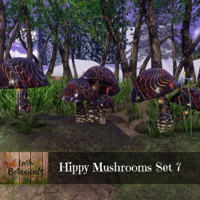 Hippy Mushroom Set 7 - Media
