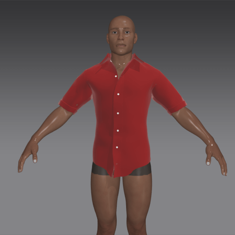 red cotton batiste shirt