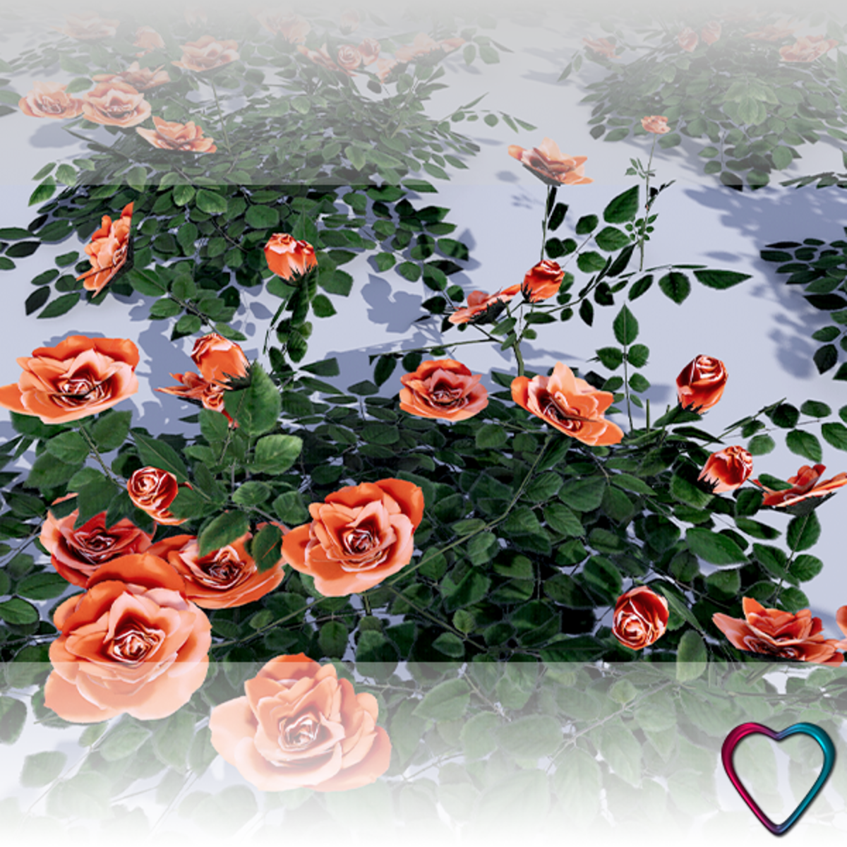 Rose Flowers - Orange