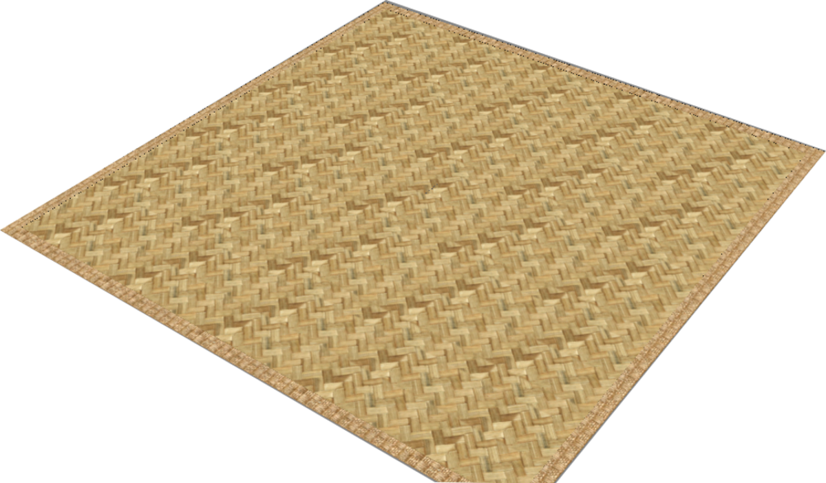 OUTDOOR RUG