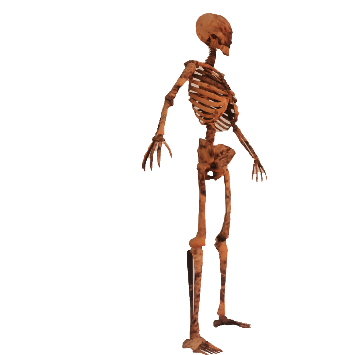 Animated Rotten Skeleton