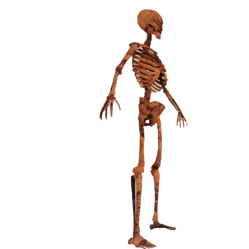 Animated Rotten Skeleton