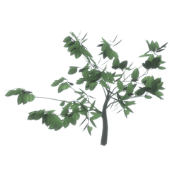 Shrub (Uncarded - V2)
