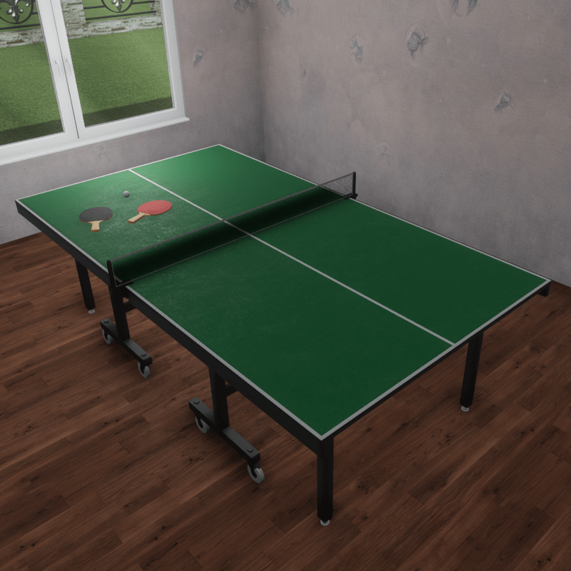 ping pong set