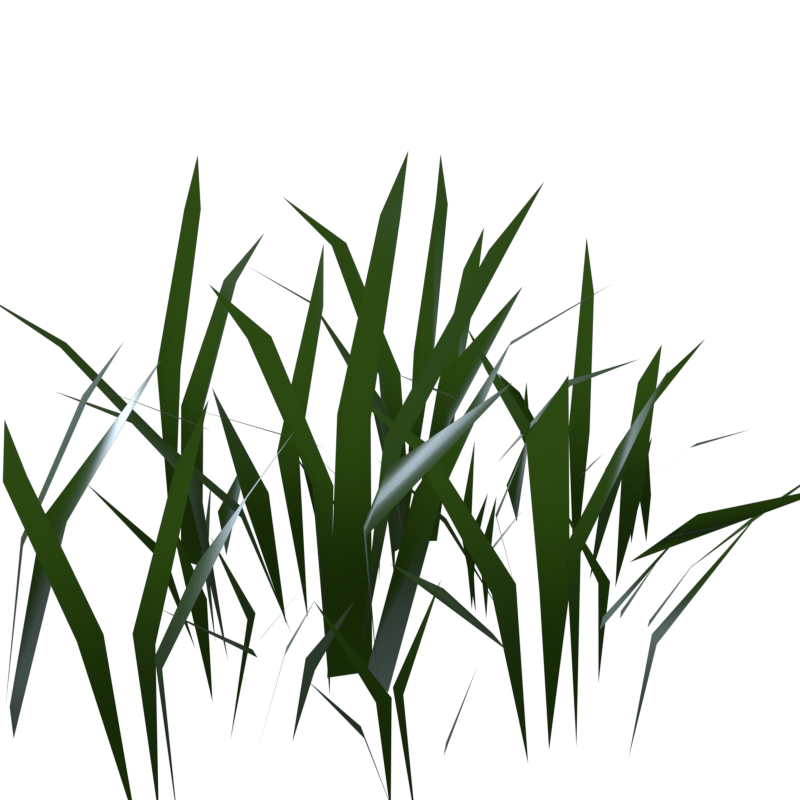 Animated Grass