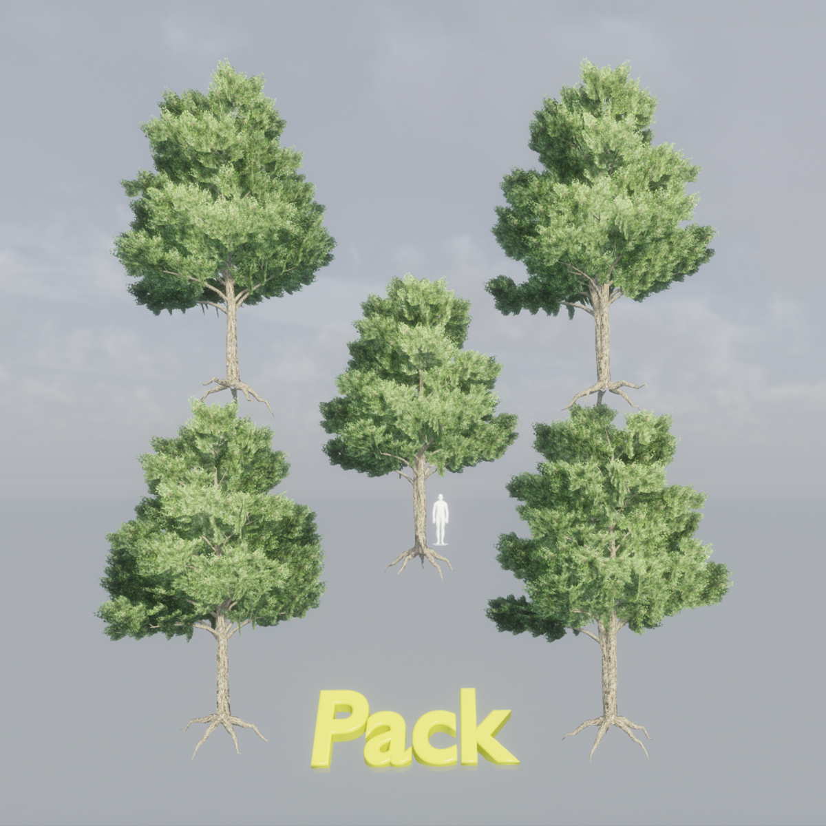 Elm Tree Pack