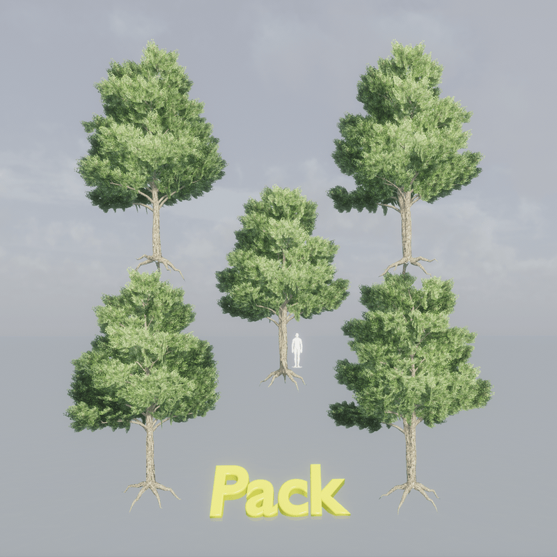 Elm Tree Pack