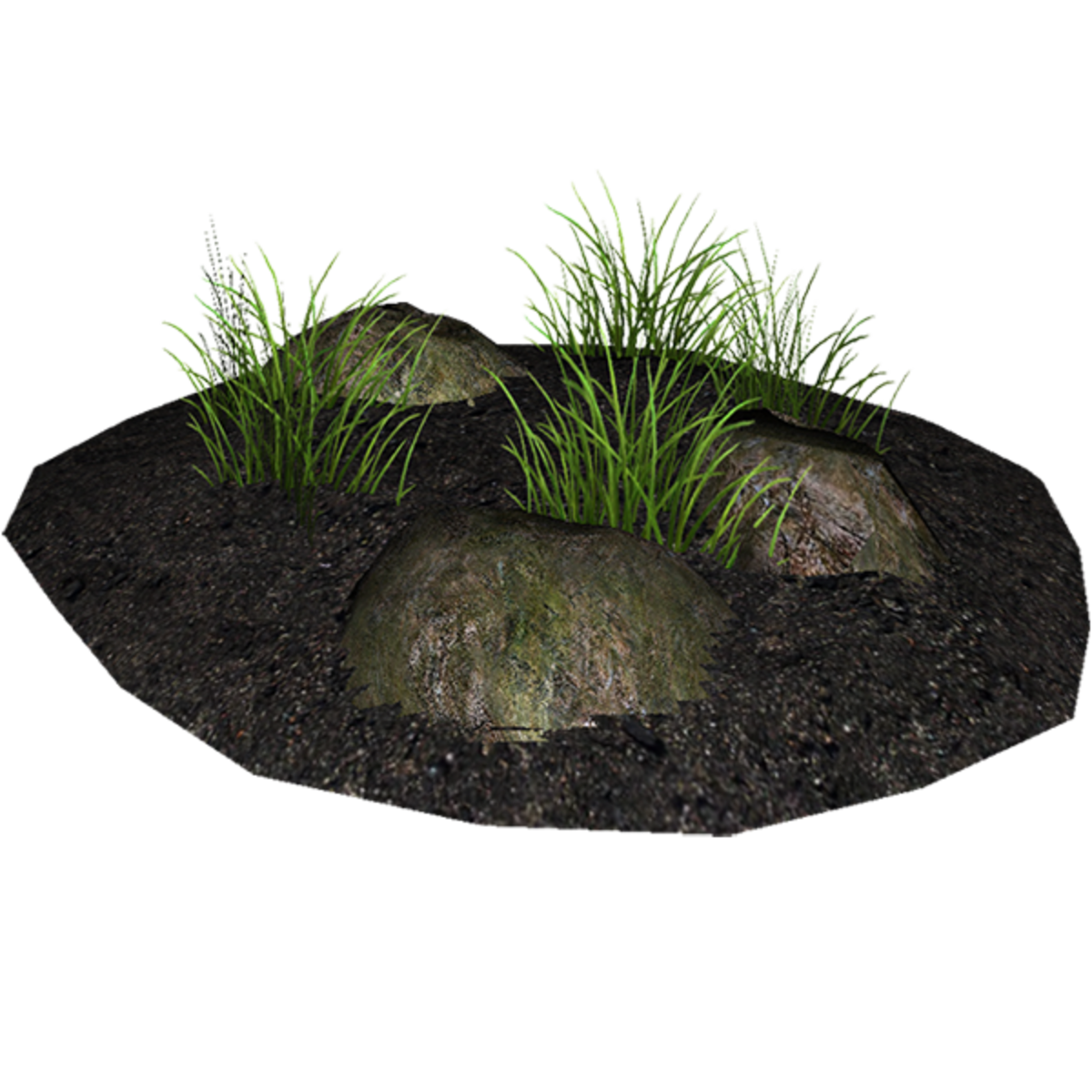 Soil, Grass and Rocks