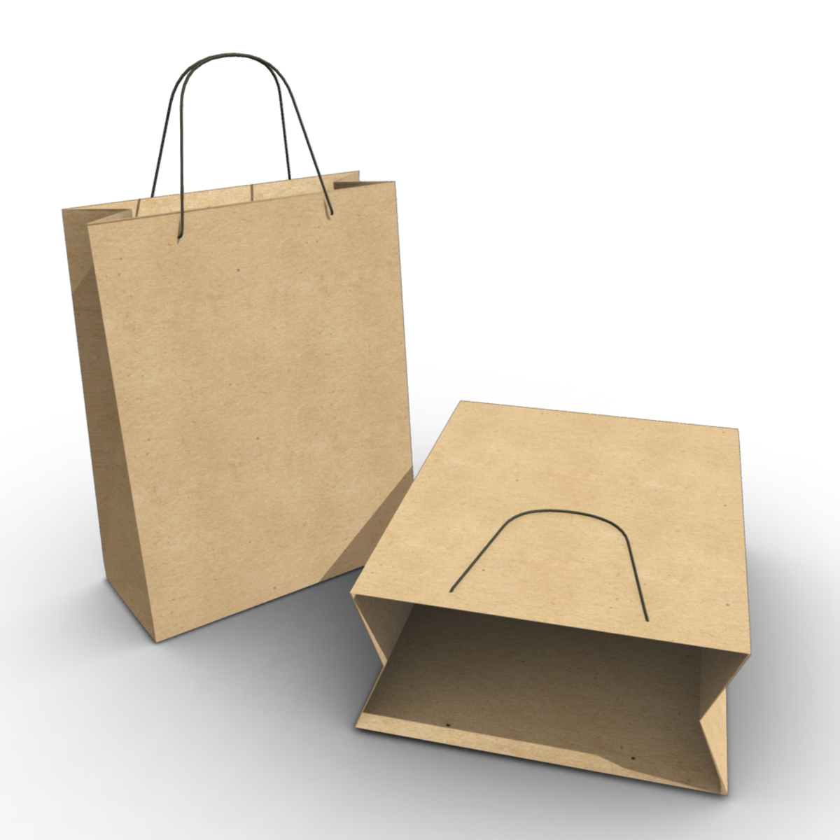 Paper Bag FP