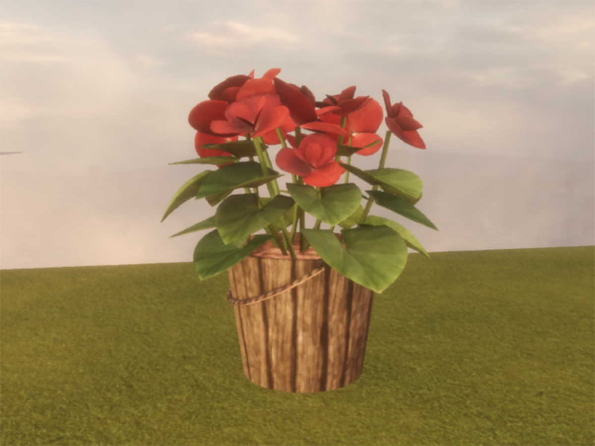 ★Begonia★ - House Plant☻