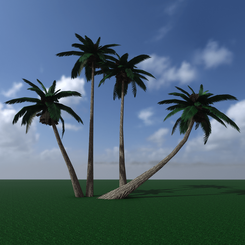 Tropical palm tree - Set of four