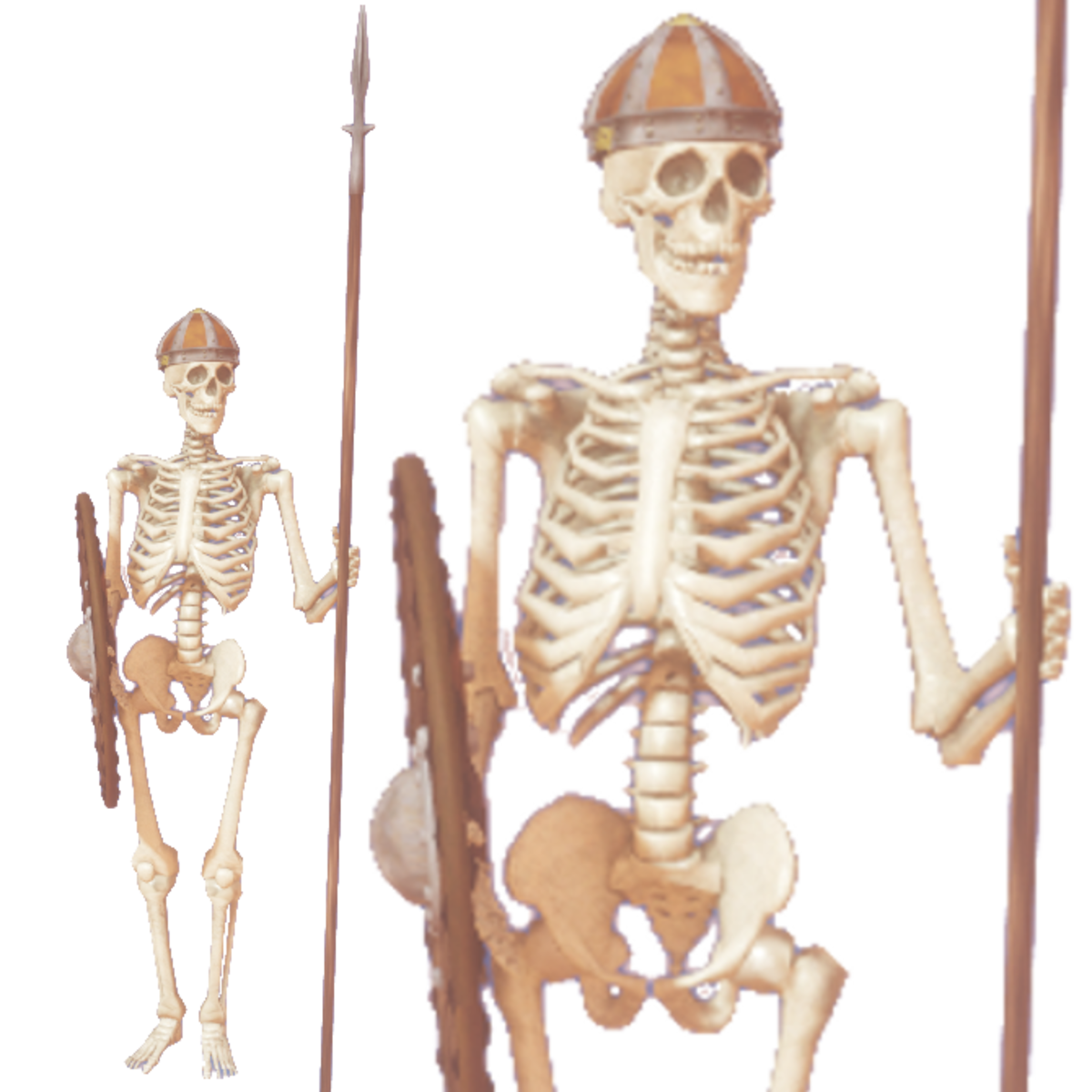 Skeleton Warrior anim R