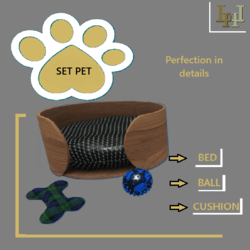 Set pet Buddy