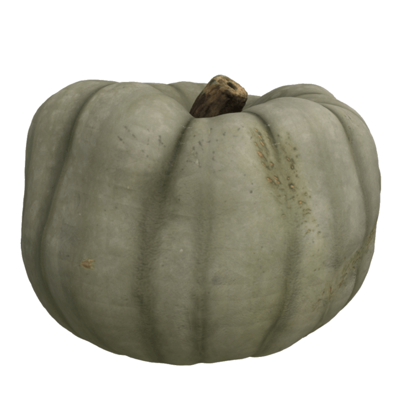 Pumpkin A