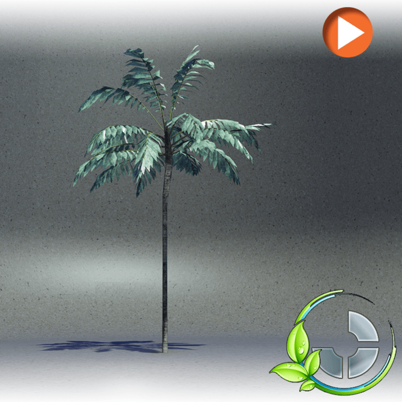 Animated Skinny 1- c