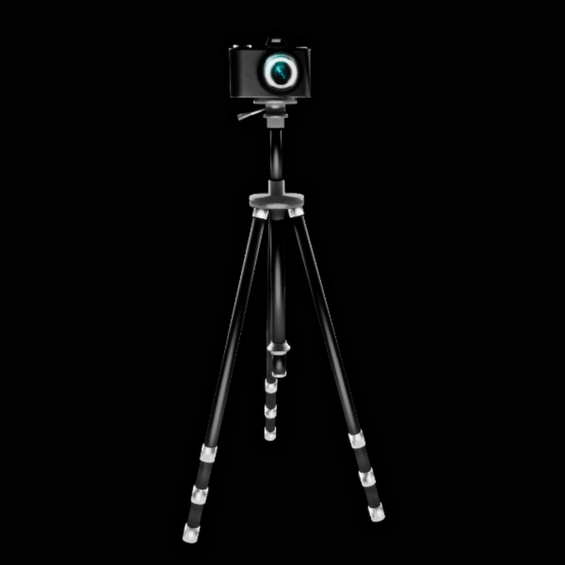 Camera with Tripod