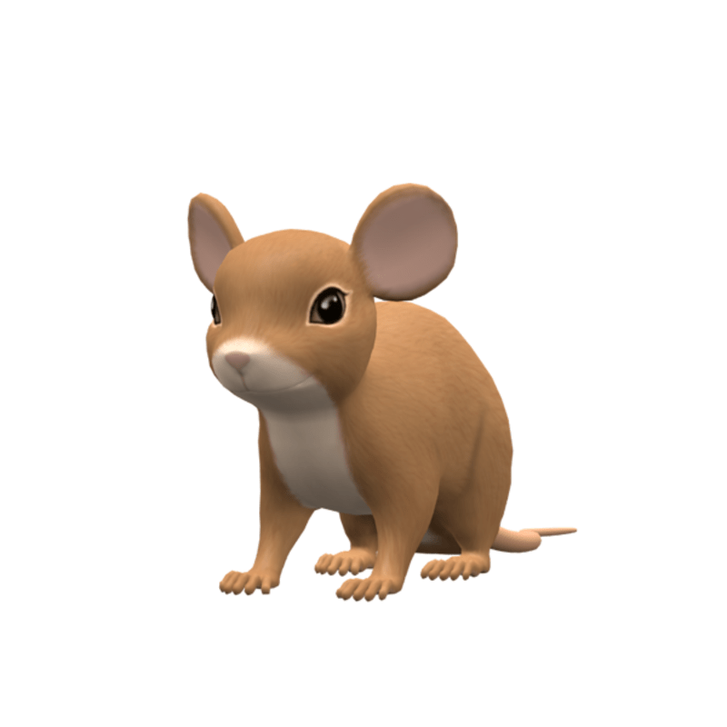 A little mouse