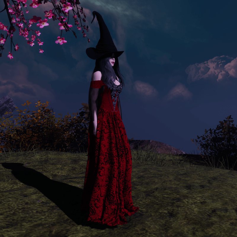 Red Witch Costume