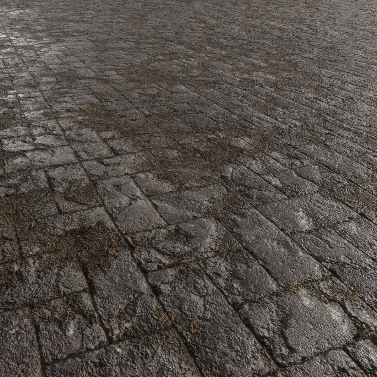 Pavement Floor Stone 3