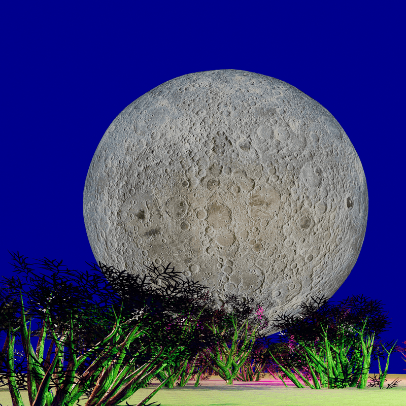 The Darkside of the Moon