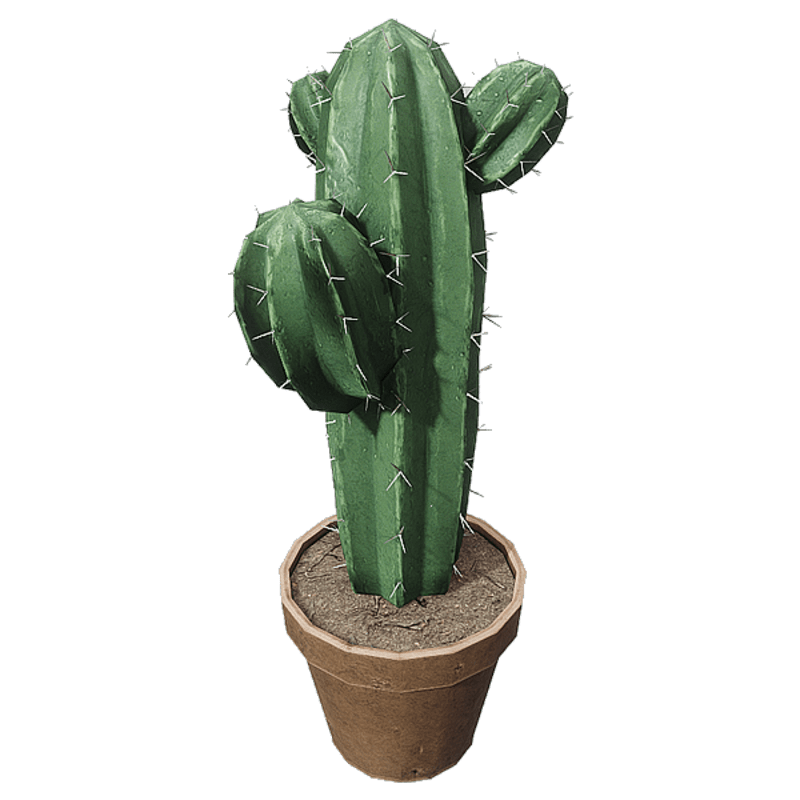 Cactus
