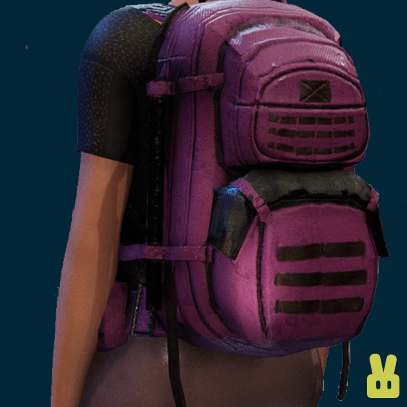 pink backpack