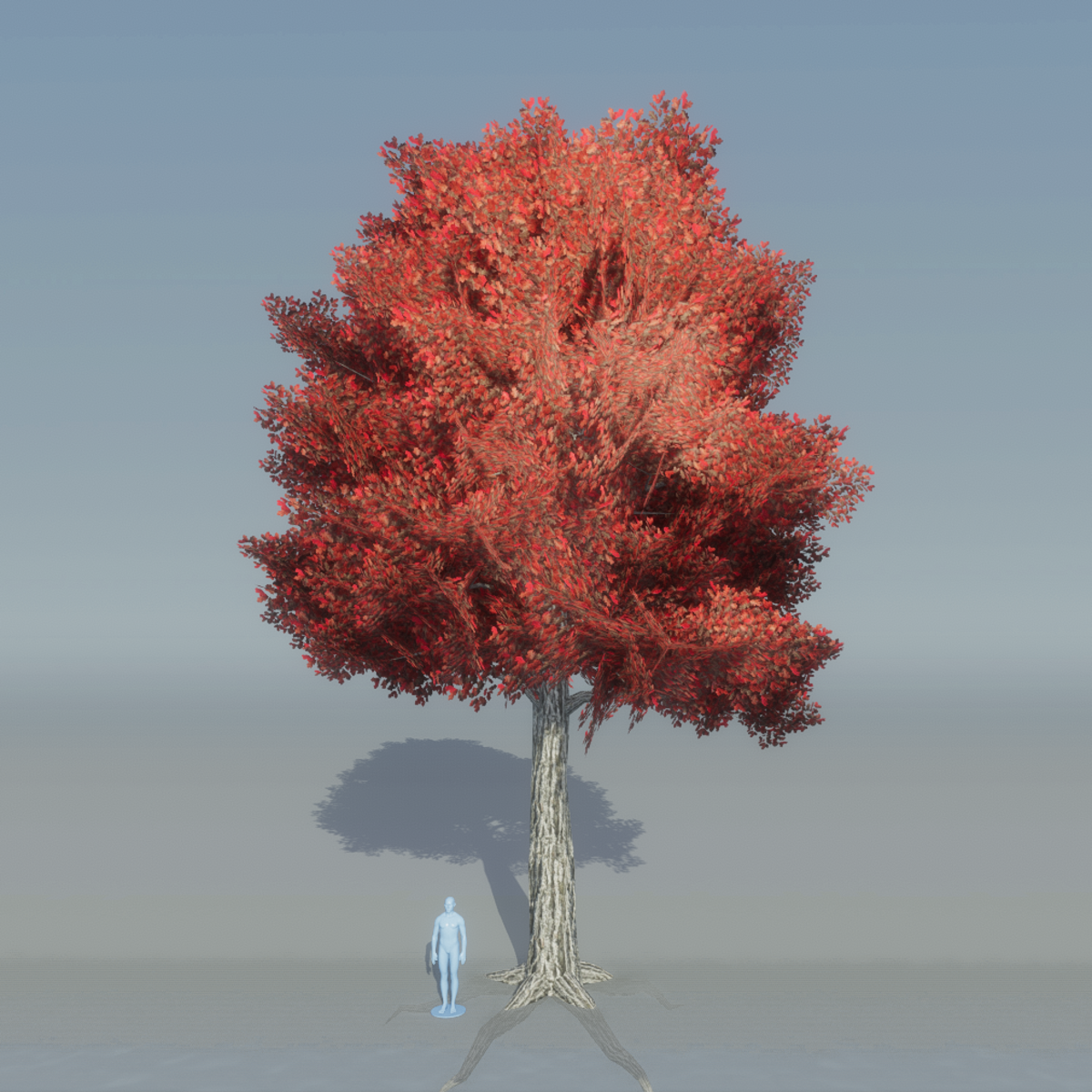 Oak Tree 3 with roots (red)