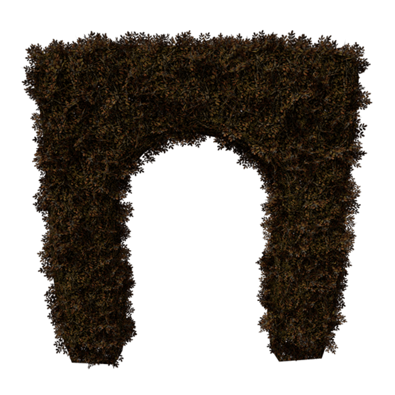 Hedge Arch 4x6 (Dead)
