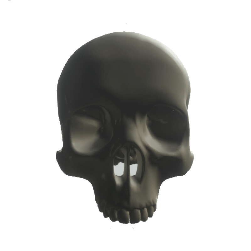Skeleton Parts - SKULL (Top) - COL