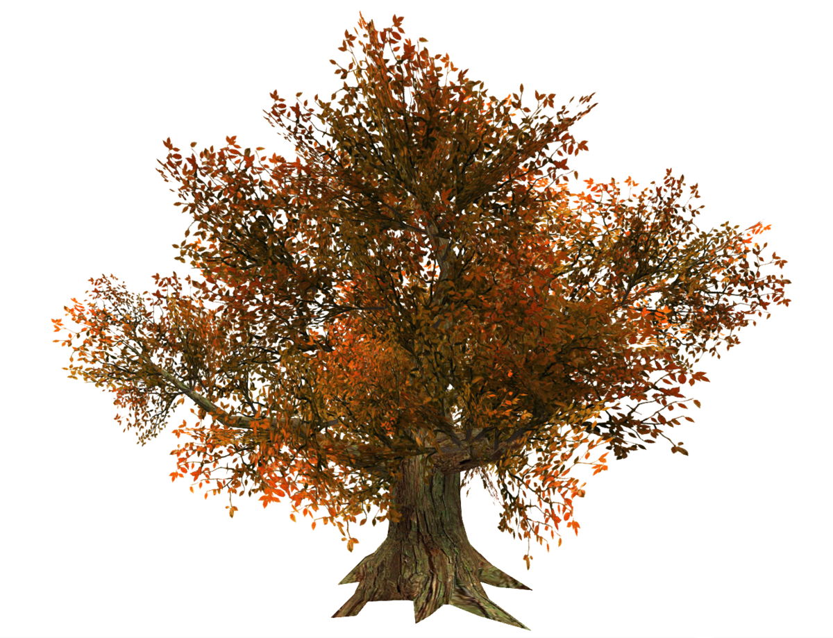 Tree Wide - Copper