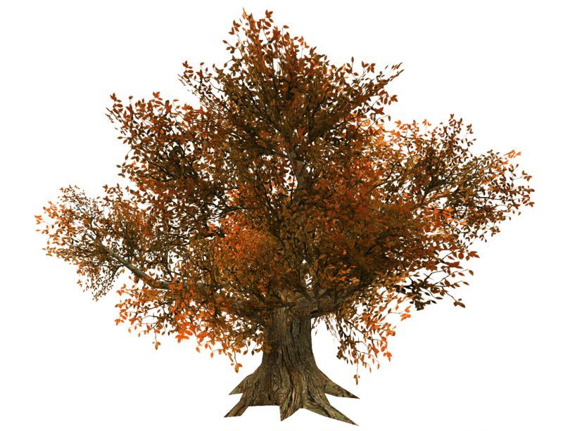 Tree Wide - Copper