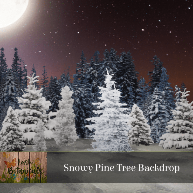 Snowy Pine Trees Low Poly