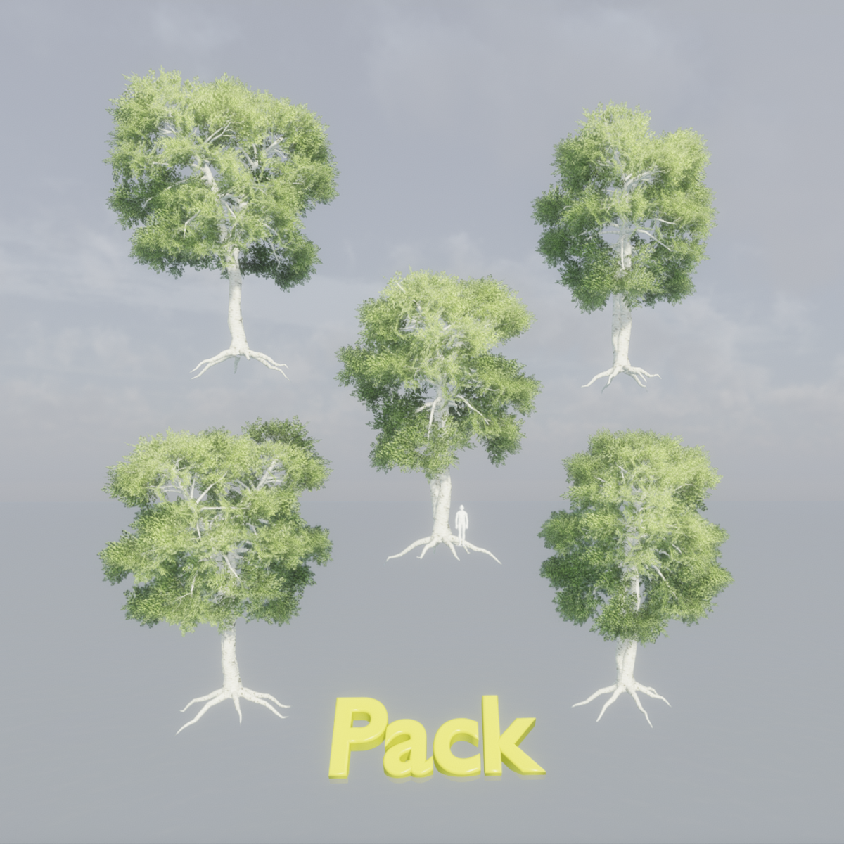 Birch Tree With Roots Pack