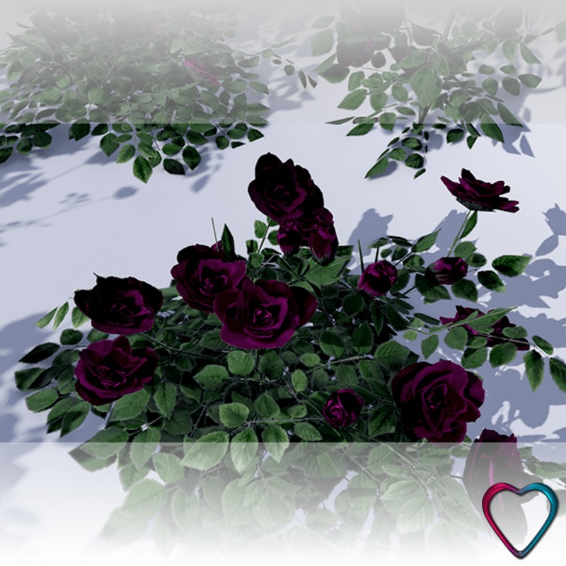 Rose Flowers - Purple