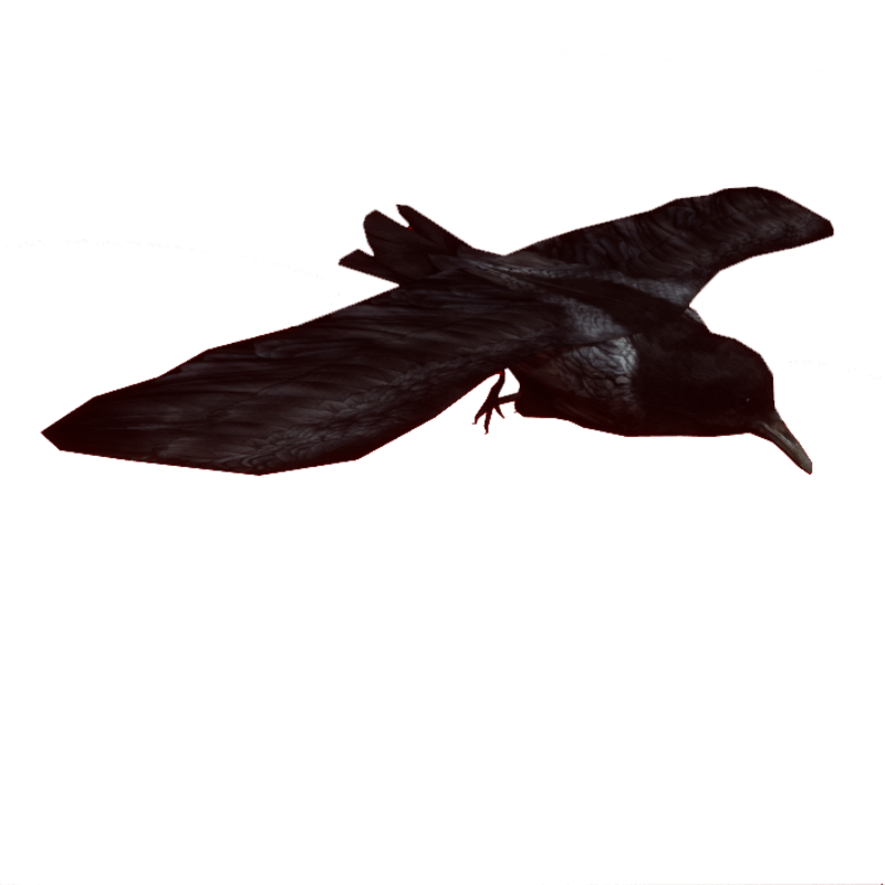 Flying Crow 01with collision