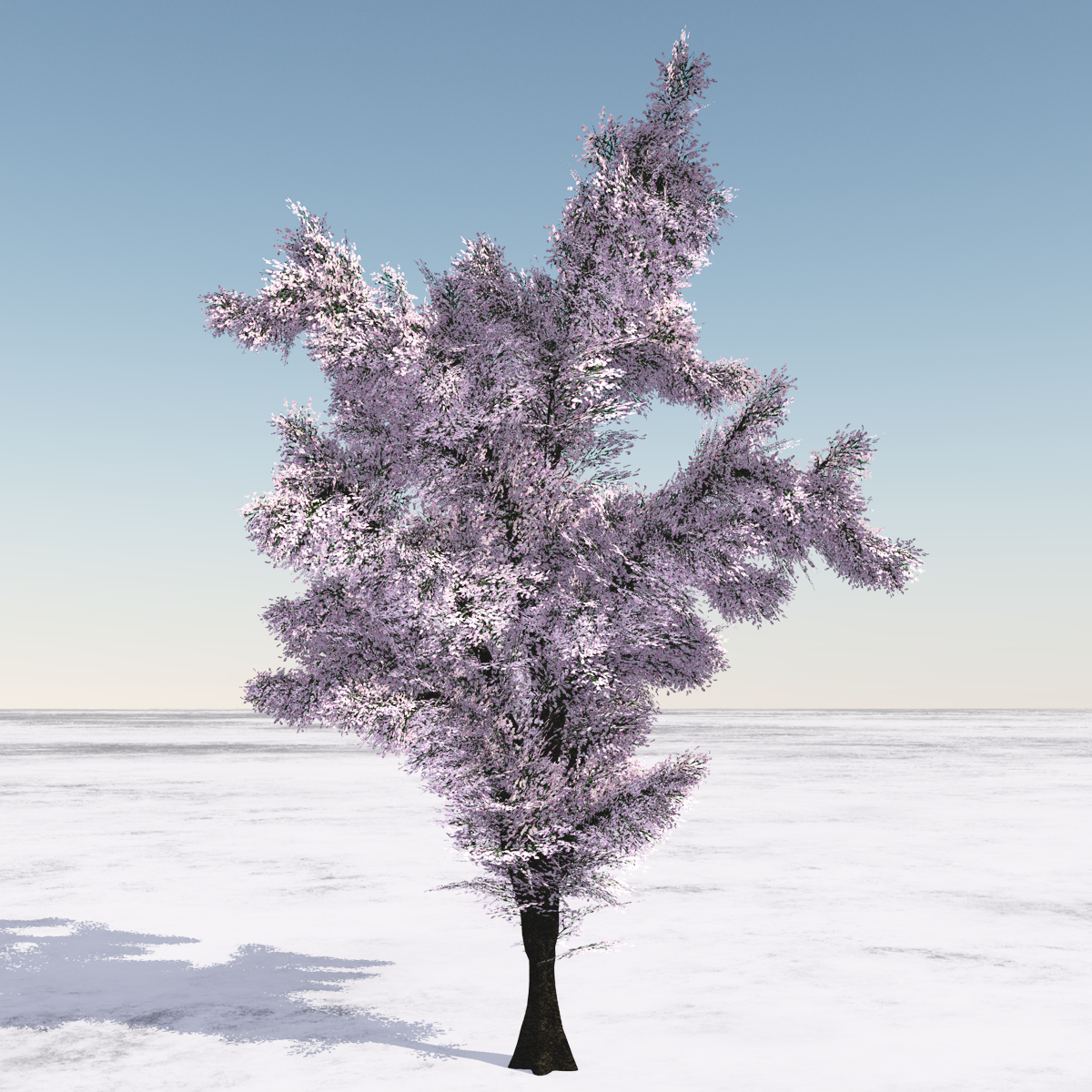 Cherry Tree, animated with wind effect