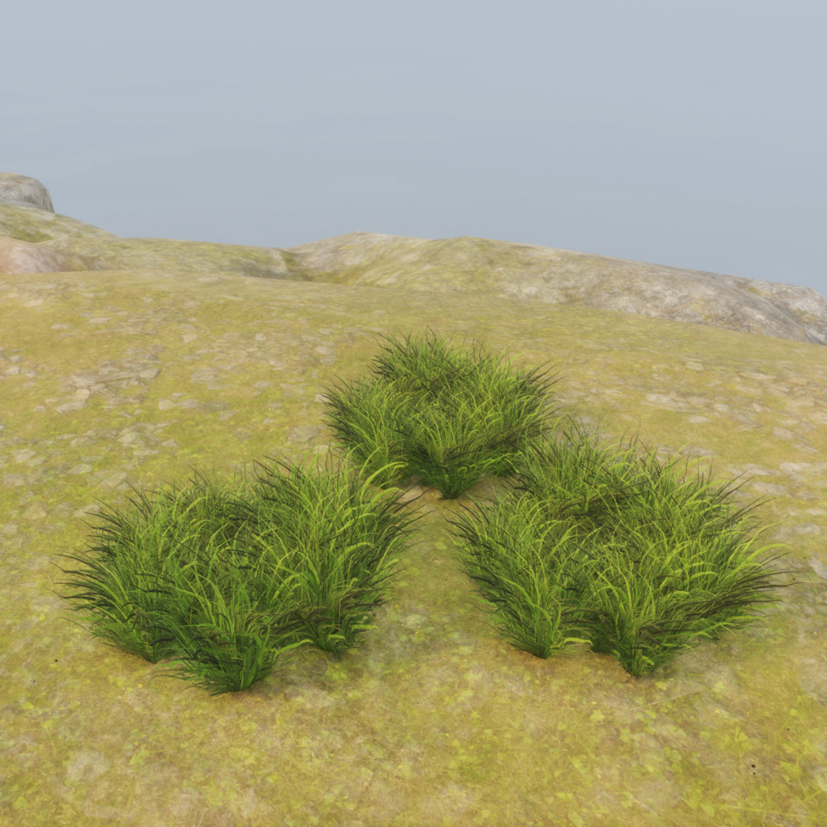 GRASS_M3