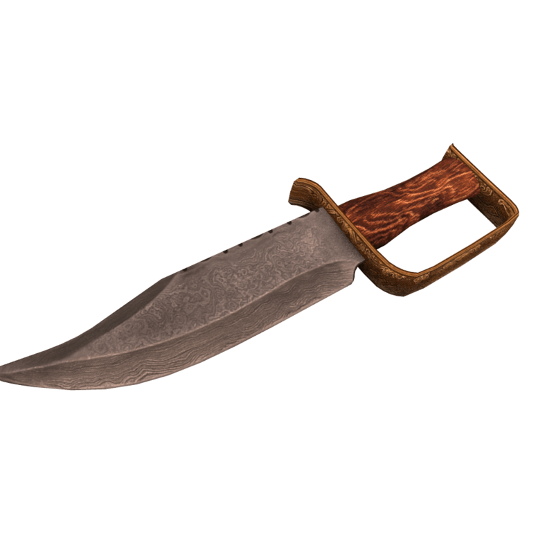 Jim Bowie Knife