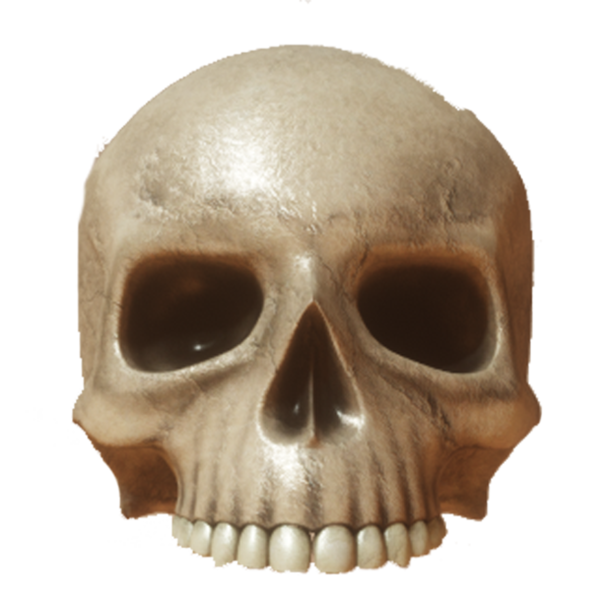 Skull v2 top with collision