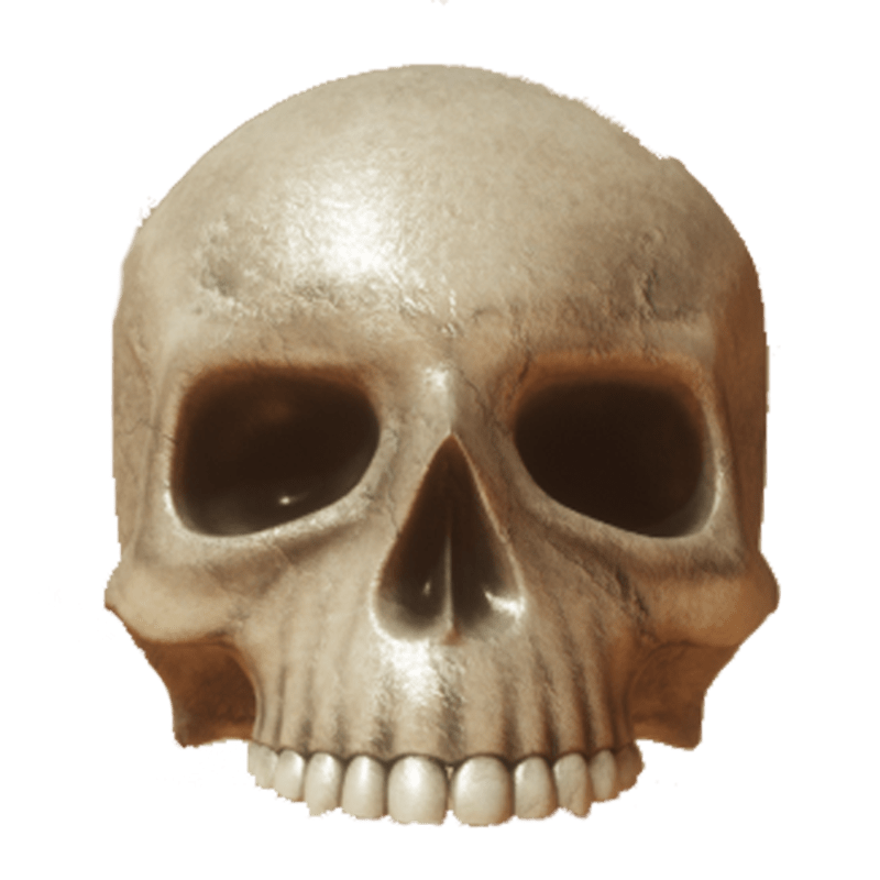 Skull v2 top with collision