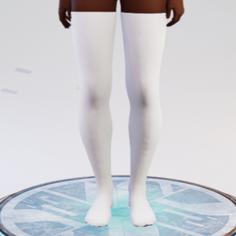 FemaleKneeHighSocks001a