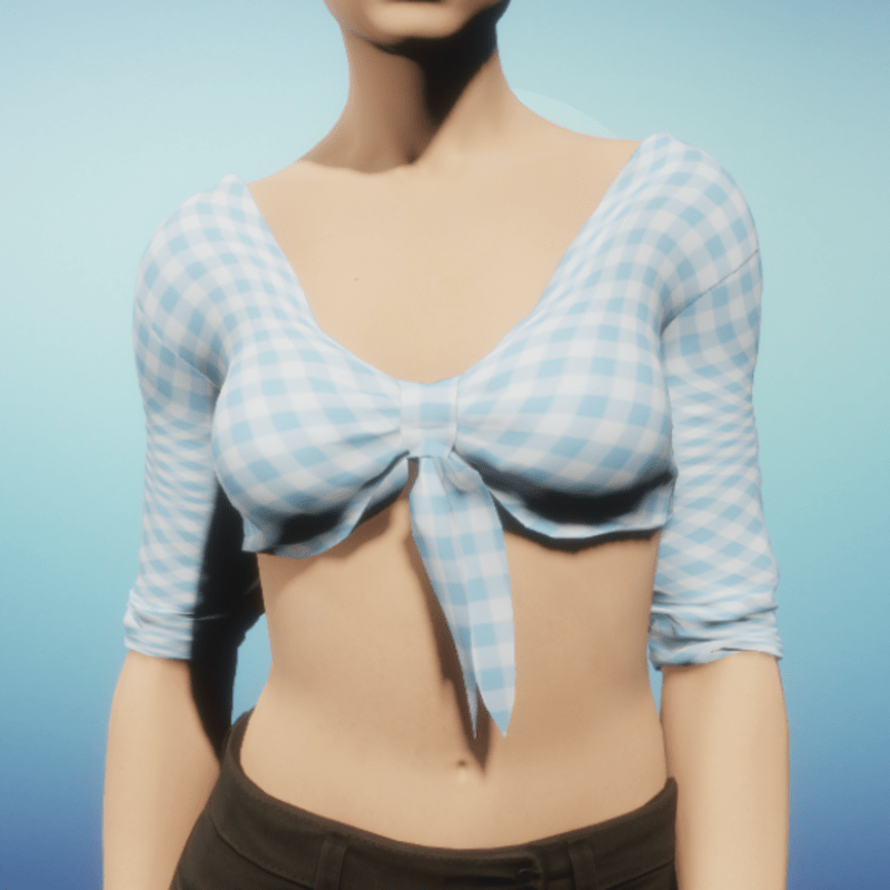 Blue Gingham Tied Crop Top