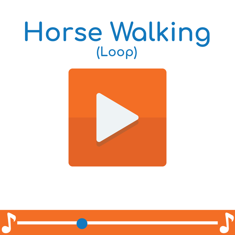 Horse Walking