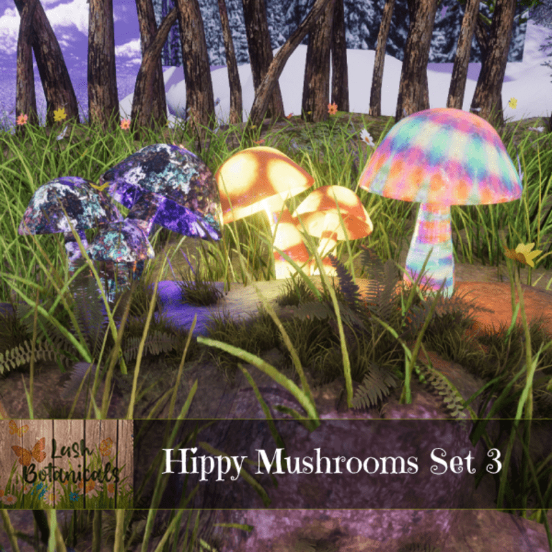 Hippy Mushroom Set 3